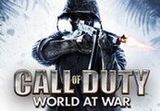 Call of Duty: World at War Steam Gift