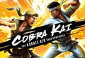 Cobra Kai: The Karate Kid Saga Continues EU Nintendo Switch CD Key
