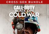 Call of Duty: Black Ops Cold War Cross-Gen Bundle Playstation 4 Account