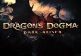 Dragon's Dogma: Dark Arisen EU Nintendo Switch CD Key