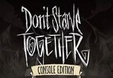 Don't Starve Together: Console Edition PS4/PS5 Account
