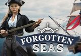 Forgotten Seas PC Steam CD Key