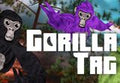 Gorilla Tag PC Steam Account