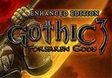 Gothic 3: Forsaken Gods Enhanced Edition PC Steam CD Key