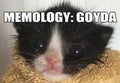 MEMOLOGY: GOYDA PC Steam CD Key