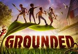 Grounded Nintendo Switch Online Account Activation