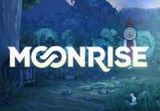 Moonrise Steam CD Key