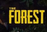The Forest PC Steam CD Key