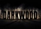 Darkwood PC Steam CD Key