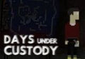 Days Under Custody Steam CD Key