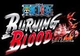 One Piece Burning Blood PS4/PS5 Access