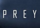 Prey PC Steam CD Key