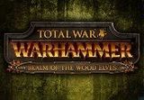 Total War: Warhammer - Realm of The Wood Elves DLC PC Steam CD Key