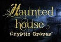 Haunted House: Cryptic Graves Steam CD Key