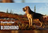 theHunter: Call of the Wild - Bloodhound DLC Steam CD Key