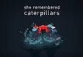 She Remembered Caterpillars Steam CD Key