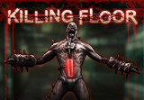 Killing Floor PC Steam Gift