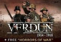 Verdun Steam Gift