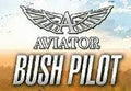 Aviator - Bush Pilot Steam CD Key