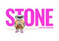 STONE Steam CD Key