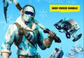 Fortnite Deep Freeze Bundle EU PS4 CD Key