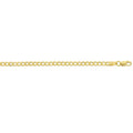 9kt Yellow Gold Curb Chain Necklace