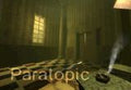 Paratopic Steam CD Key