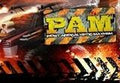 Post Apocalyptic Mayhem Steam CD Key