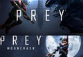 Prey Digital Deluxe Edition EU Steam CD Key