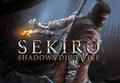 Sekiro: Shadows Die Twice PS4 Account