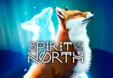 Spirit of the North PS4 Account
