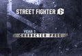 Street Fighter 6 - Year 1 Character Pass DLC Steam CD Key