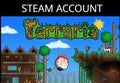Terraria Steam Account