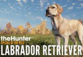 theHunter: Call of the Wild - Labrador Retriever DLC EU PC Steam CD Key