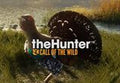 theHunter: Call of the Wild - Revontuli Coast DLC PC Steam CD Key