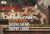 theHunter: Call of the Wild - Saseka Safari Trophy Lodge DLC PC Steam CD Key