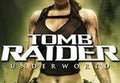 Tomb Raider: Underworld Steam CD Key