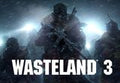 Wasteland 3 Day One Edition EU Steam CD Key