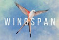 Wingspan Steam CD Key