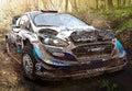 WRC 9 FIA World Rally Championship PlayStation 4/5 Account